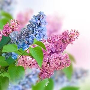 Meet your Posher, Sherry